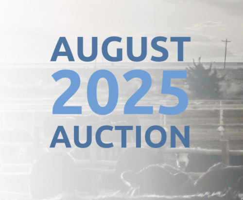 August DairyX, Holstein and Native Auction