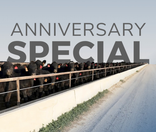 Anniversary Special - June DairyX, Holstein and Native Auction