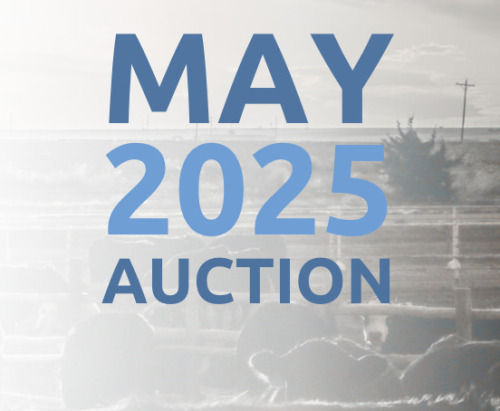 May DairyX, Holstein and Native Auction