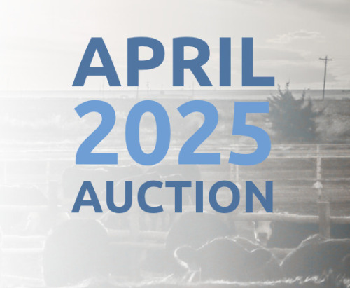 April DairyX, Holstein and Native Auction