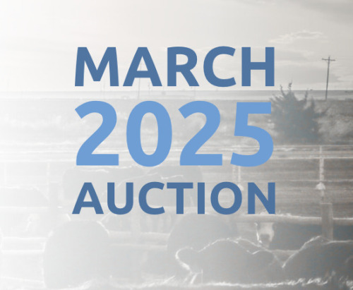 March DairyX, Holstein and Native Auction
