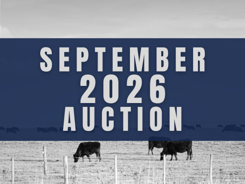 September DairyX, Holstein and Native Auction