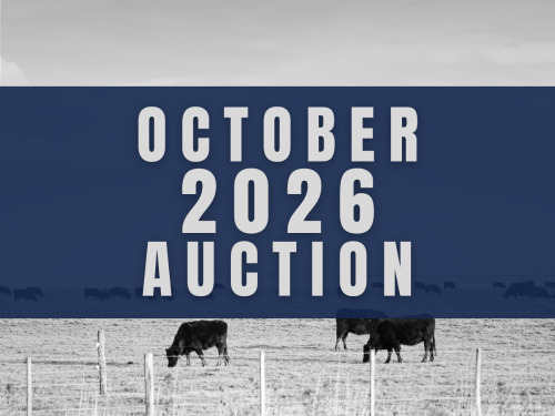 October DairyX, Holstein and Native Auction