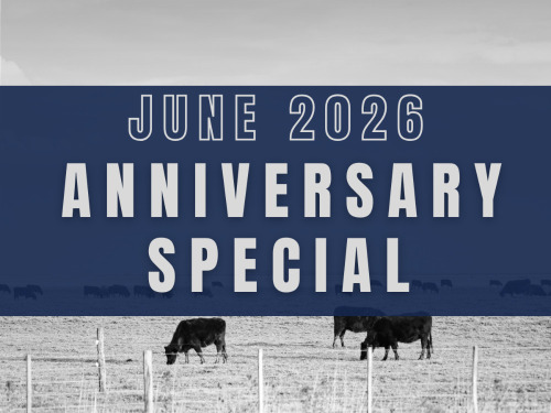 Anniversary Special - June DairyX, Holstein and Native Auction- 12,500 HEAD