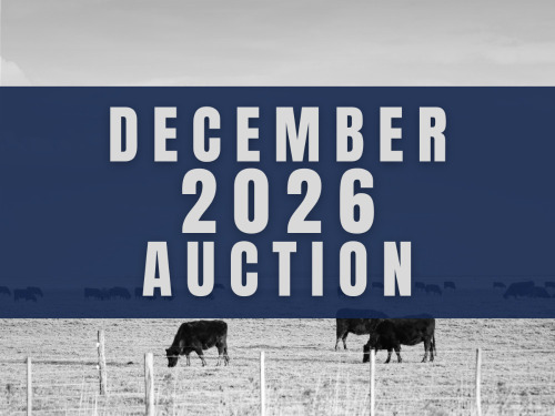 December DairyX, Holstein and Native Auction