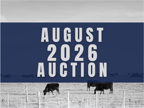 August DairyX, Holstein and Native Auction